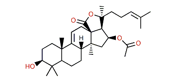 Philinopgenin A